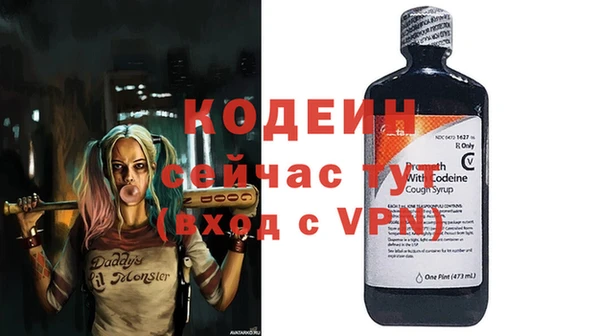 индика Абаза