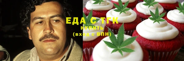 индика Абаза