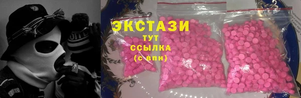индика Абаза