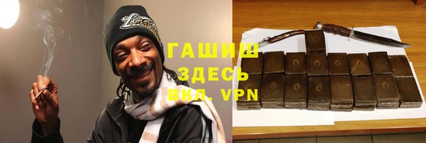 индика Абаза