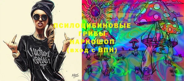 индика Абаза
