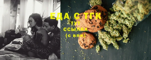 индика Абаза