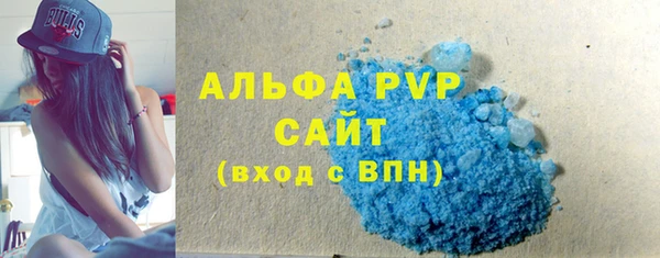 индика Абаза