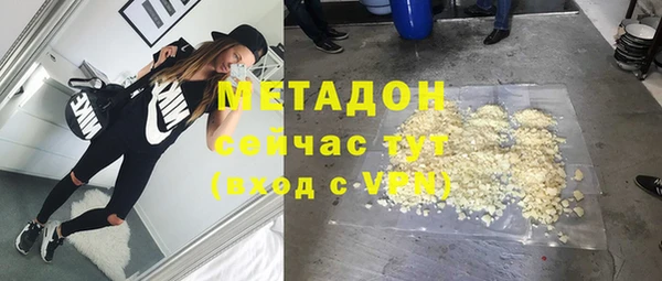 индика Абаза