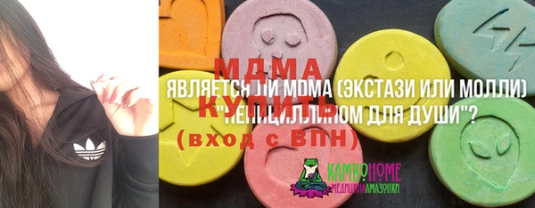 индика Абаза
